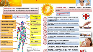 Соблюдайте меры по профилактике перегрева